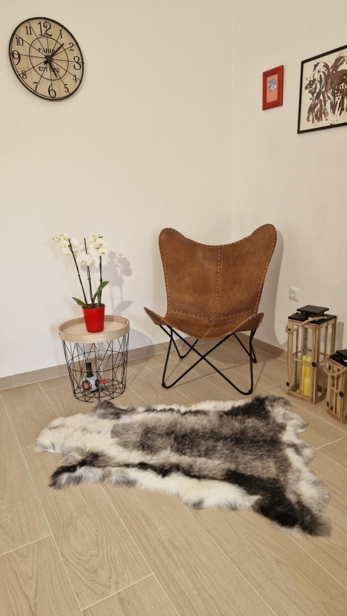 Apartmani Volga 佩特坎内 外观 照片