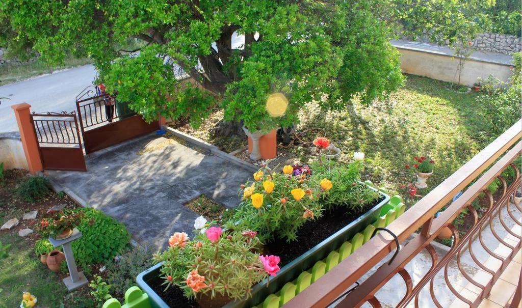Apartmani Volga 佩特坎内 外观 照片